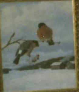 MT_649_B_valokuvasta