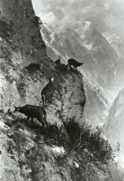 MT_947